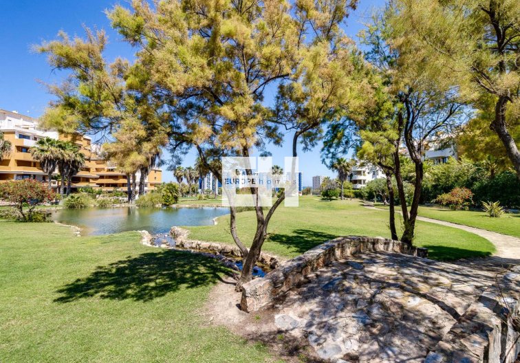 Segunda mano - Apartamento  - Torrevieja - Punta Prima