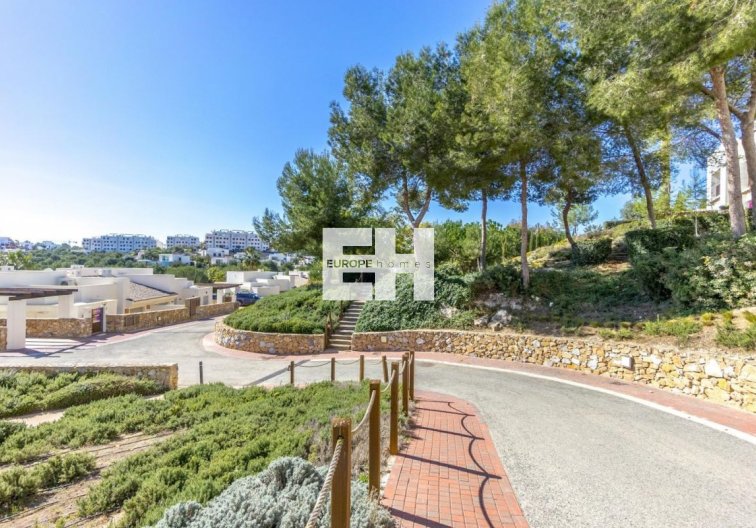 Segunda mano - Atico - Orihuela Costa - Costa Blanca