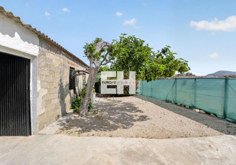 Segunda mano - Finca - Orihuela - Desamparados-hurchillo-torremendo