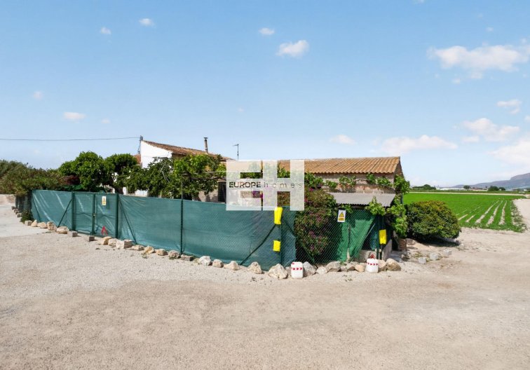 Segunda mano - Finca - Orihuela - Desamparados-hurchillo-torremendo