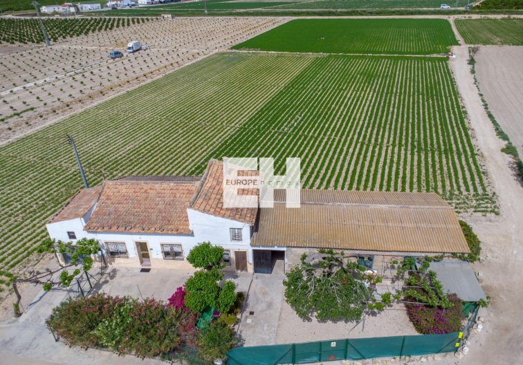 Segunda mano - Finca - Orihuela - Desamparados-hurchillo-torremendo