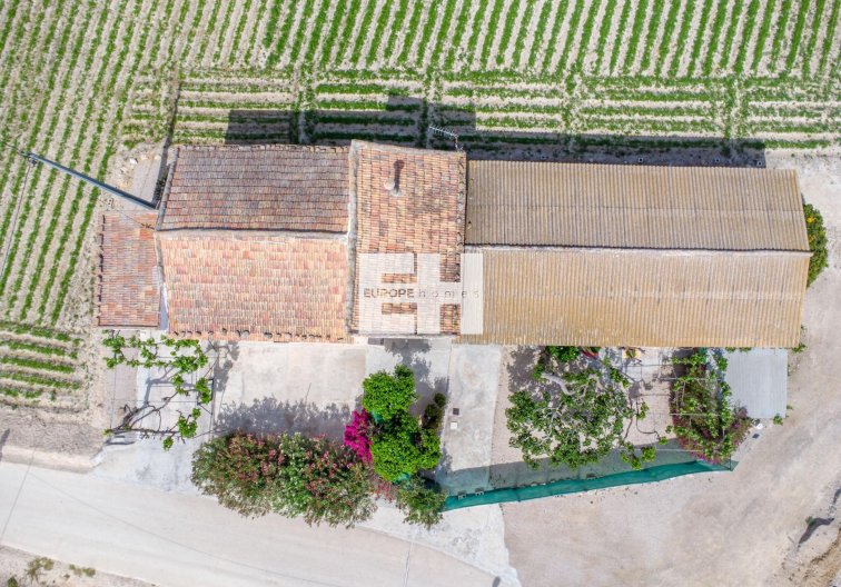 Segunda mano - Finca - Orihuela - Desamparados-hurchillo-torremendo