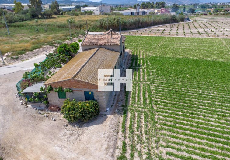Segunda mano - Finca - Orihuela - Desamparados-hurchillo-torremendo