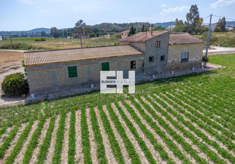 Segunda mano - Finca - Orihuela - Desamparados-hurchillo-torremendo