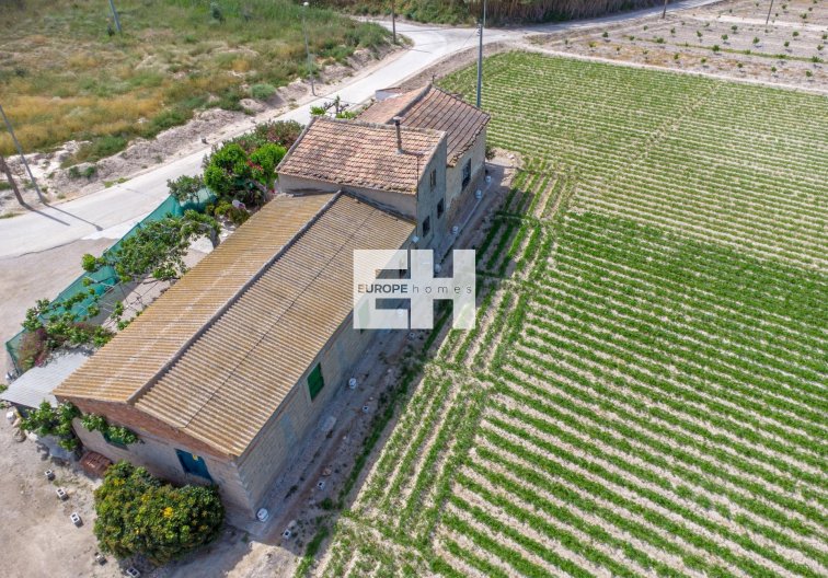 Segunda mano - Finca - Orihuela - Desamparados-hurchillo-torremendo