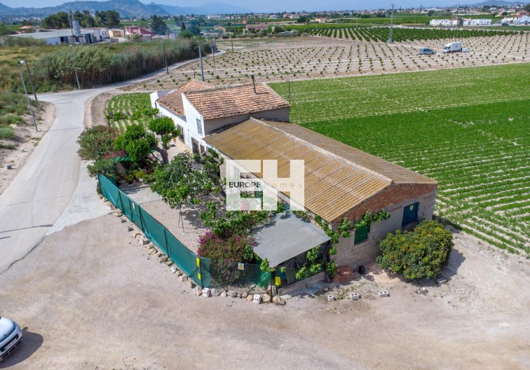 Segunda mano - Finca - Orihuela - Desamparados-hurchillo-torremendo