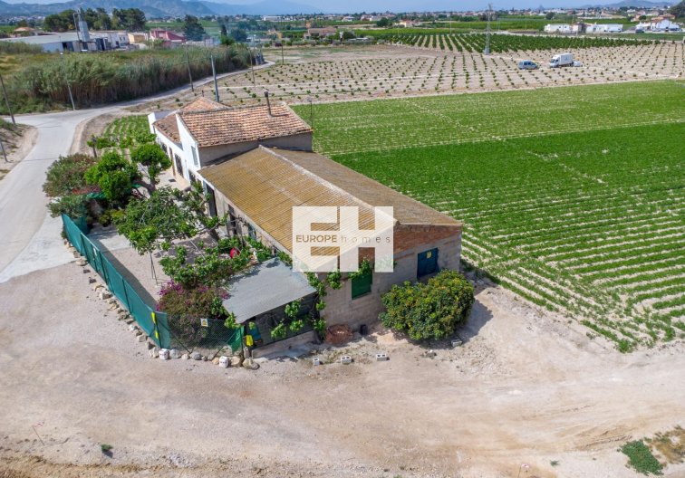 Segunda mano - Finca - Orihuela - Desamparados-hurchillo-torremendo