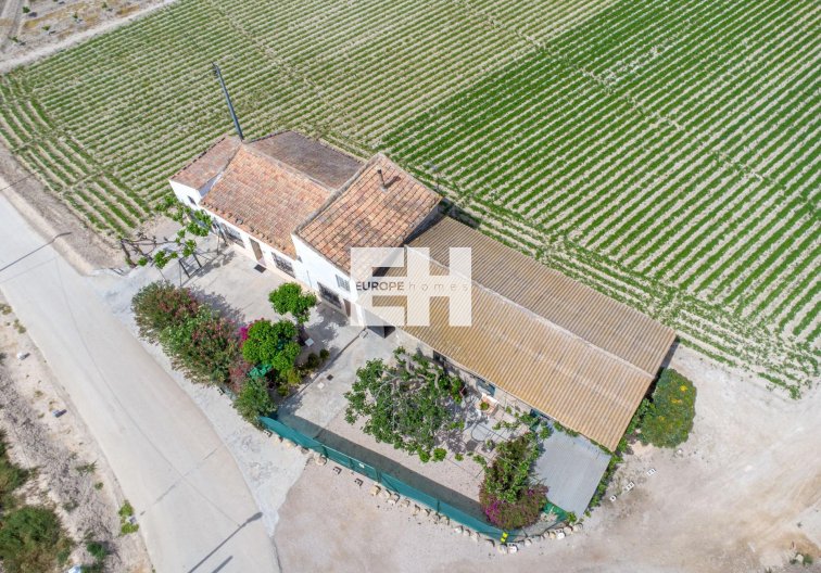 Segunda mano - Finca - Orihuela - Desamparados-hurchillo-torremendo