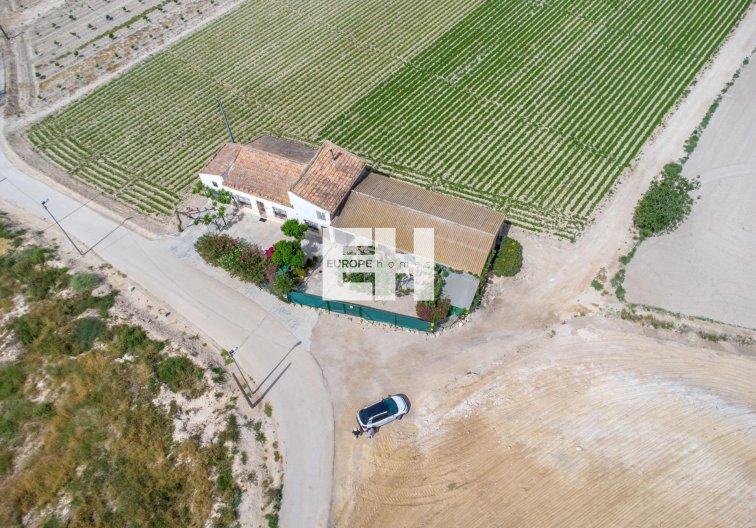 Segunda mano - Finca - Orihuela - Desamparados-hurchillo-torremendo