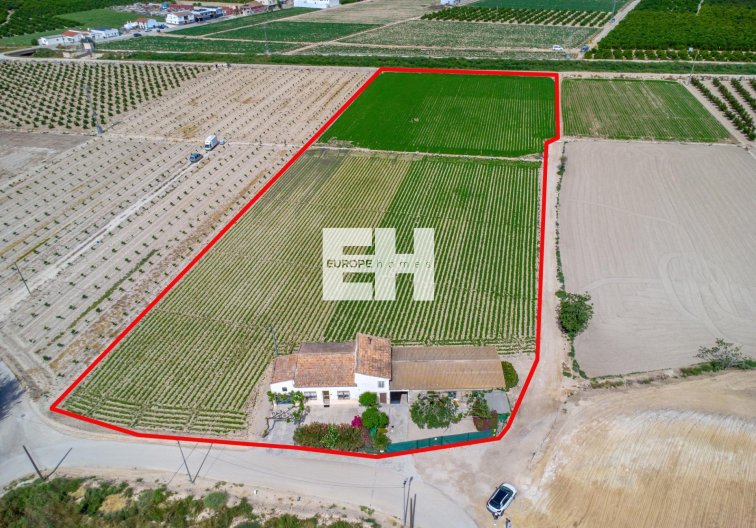 Segunda mano - Finca - Orihuela - Desamparados-hurchillo-torremendo