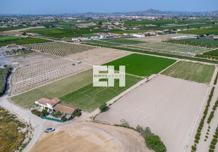 Segunda mano - Finca - Orihuela - Desamparados-hurchillo-torremendo