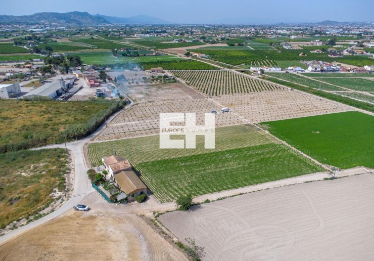 Segunda mano - Finca - Orihuela - Desamparados-hurchillo-torremendo