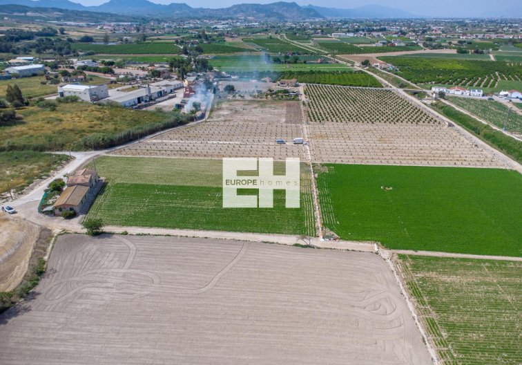Segunda mano - Finca - Orihuela - Desamparados-hurchillo-torremendo