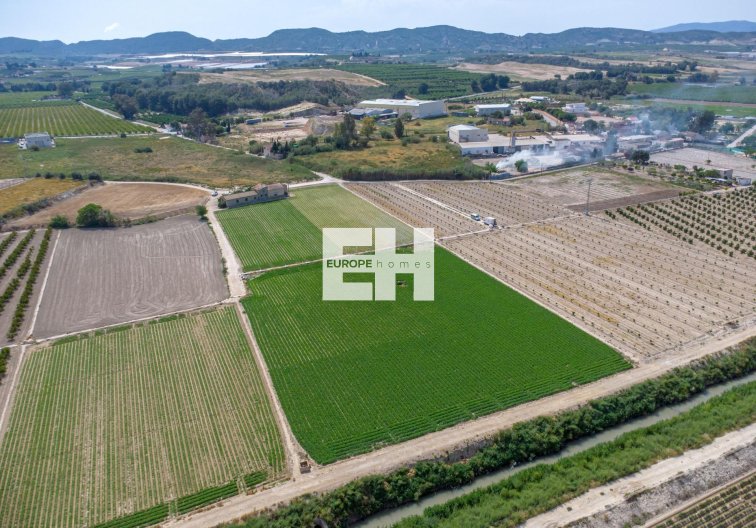 Segunda mano - Finca - Orihuela - Desamparados-hurchillo-torremendo