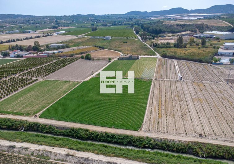 Segunda mano - Finca - Orihuela - Desamparados-hurchillo-torremendo