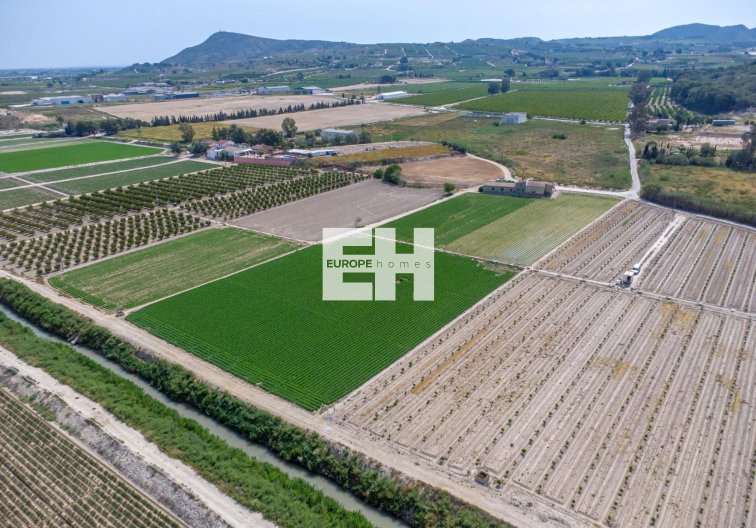 Segunda mano - Finca - Orihuela - Desamparados-hurchillo-torremendo