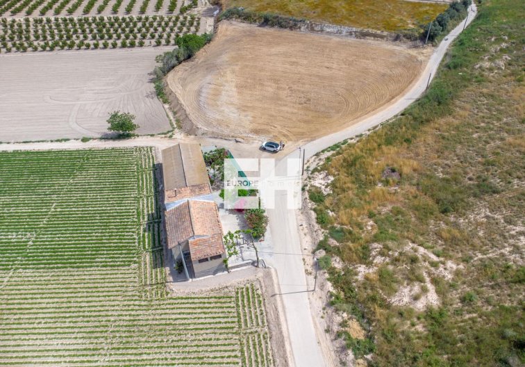 Segunda mano - Finca - Orihuela - Desamparados-hurchillo-torremendo