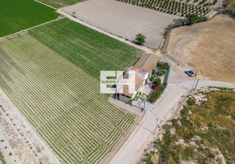 Segunda mano - Finca - Orihuela - Desamparados-hurchillo-torremendo
