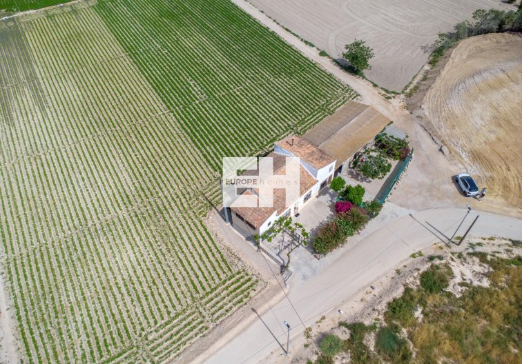 Segunda mano - Finca - Orihuela - Desamparados-hurchillo-torremendo
