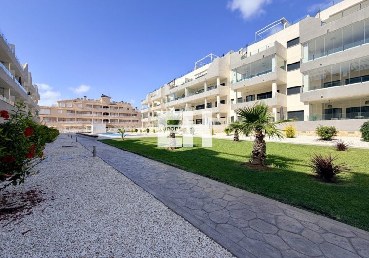 Segunda mano - Apartamento  - Orihuela Costa - Costa Blanca