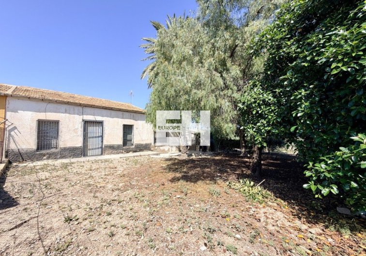 Segunda mano - Finca - La Marina - Costa Blanca