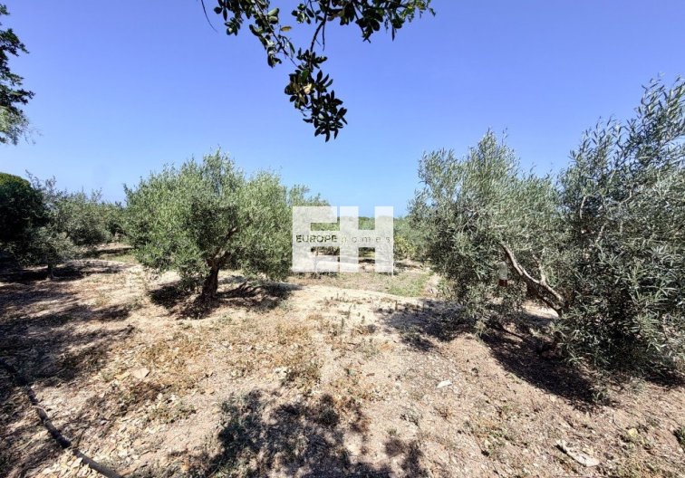 Segunda mano - Finca - La Marina - Costa Blanca