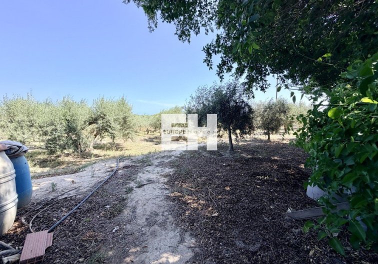 Segunda mano - Finca - La Marina - Costa Blanca
