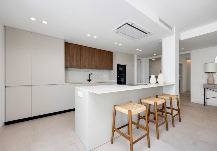Obra Nueva - villa - Mutxamel - Cotoveta