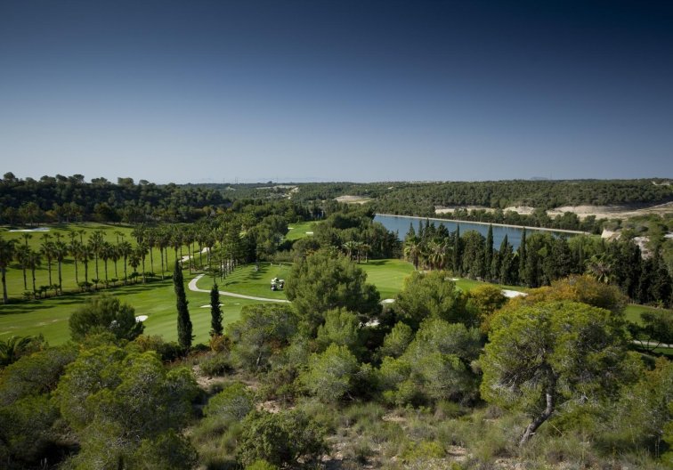 Obra Nueva - Atico - Orihuela Costa - Lomas de Campoamor