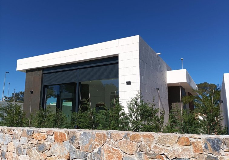 Construction Neuve - villa - Pilar de la Horadada - Lo Romero Golf