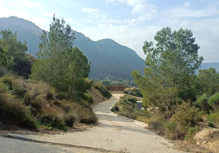Segunda mano - Finca - Murcia - Inland