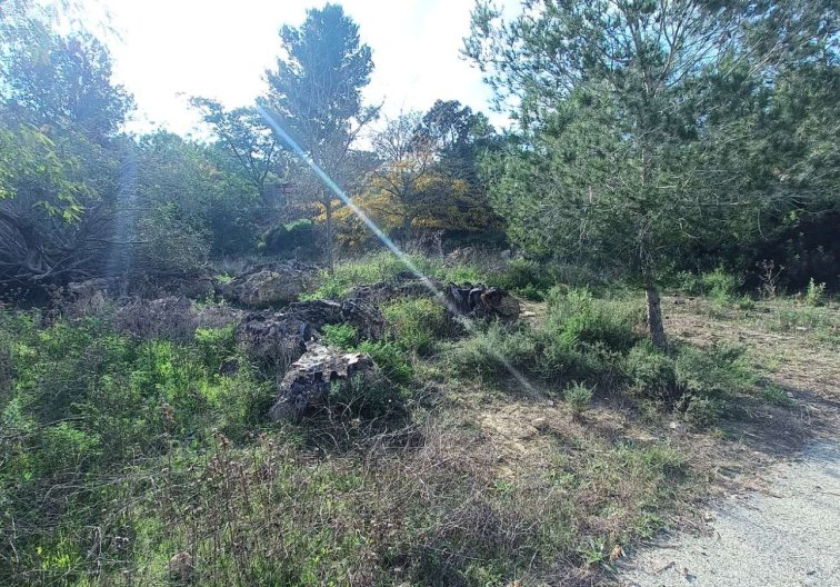Segunda mano - Finca - Murcia - Inland