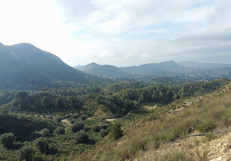 Segunda mano - Finca - Murcia - Inland