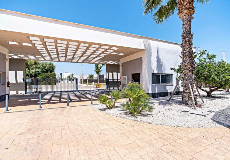 Obra Nueva - Apartamento  - Vera - El Playazo