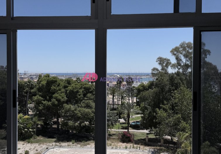 Segunda mano - Apartamento  - Torrevieja - Costa Blanca