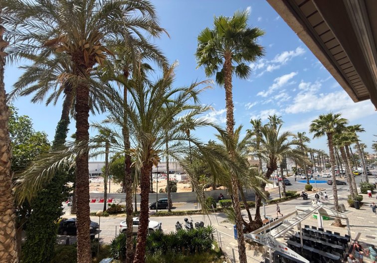 Segunda mano - Apartamento  - Torrevieja - Costa Blanca