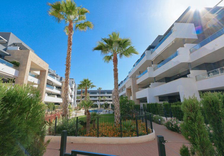 Segunda mano - Apartamento  - Playa Flamenca - Costa Blanca