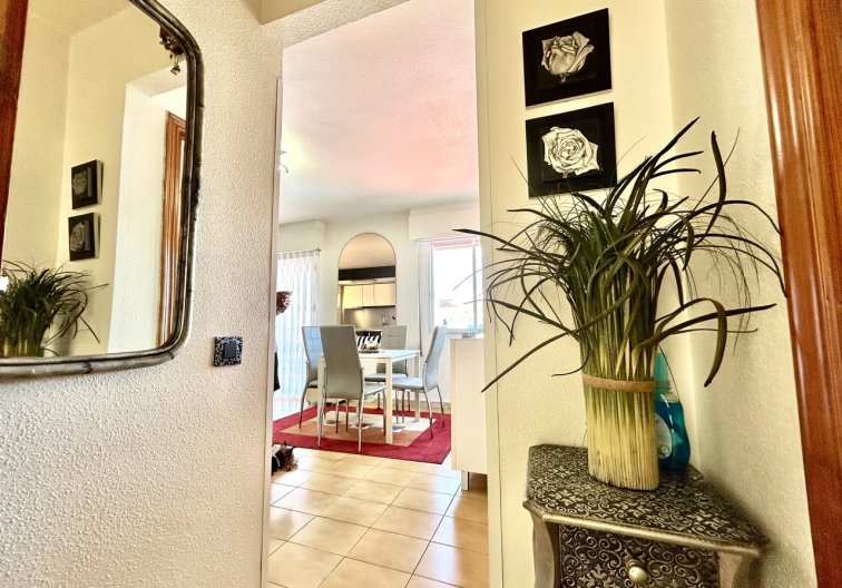Segunda mano - Apartamento  - Torrevieja - Costa Blanca