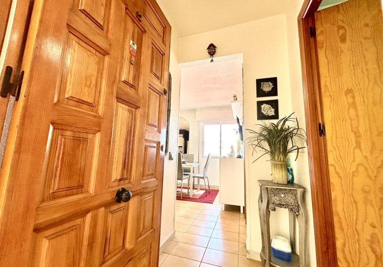 Segunda mano - Apartamento  - Torrevieja - Costa Blanca
