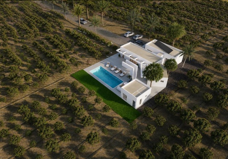 Obra Nueva - villa - Benejúzar - alta