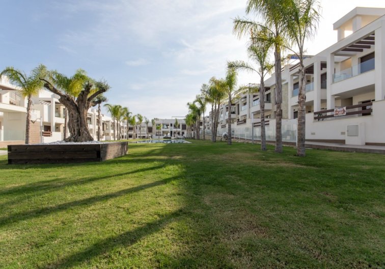 Obra Nueva - Bungalow - Torrevieja - Los Balcones 