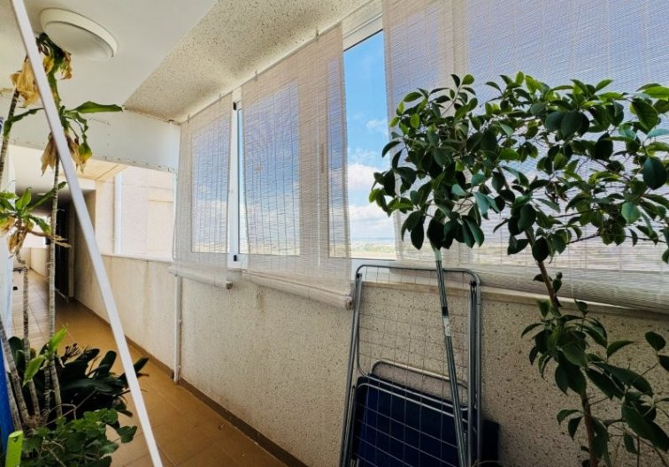 Segunda mano - Apartamento  - Torrevieja - Costa Blanca