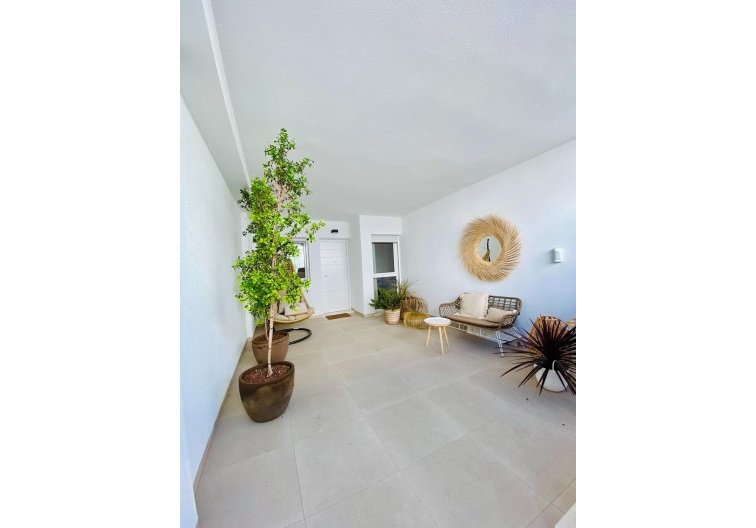 Obra Nueva - Bungalow - Pilar de la Horadada - pueblo
