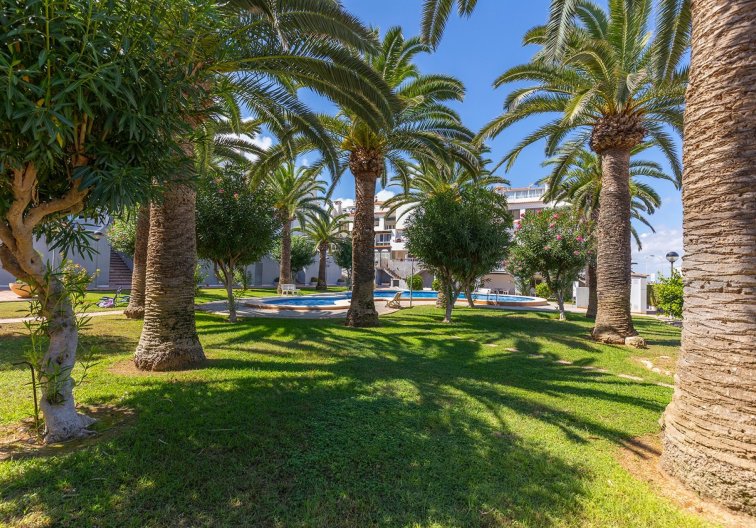 Segunda mano - Apartamento  - La Mata - Costa Blanca