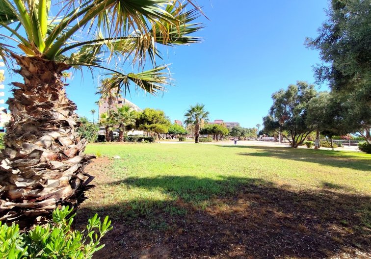 Segunda mano - Apartamento  - Torrevieja - Costa Blanca