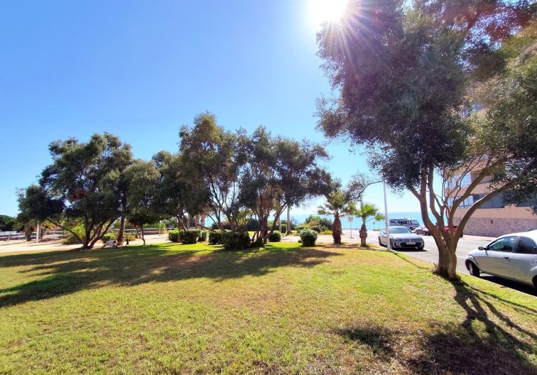 Segunda mano - Apartamento  - Torrevieja - Costa Blanca