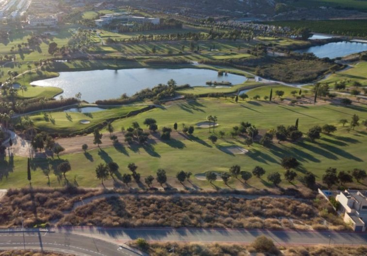 Obra Nueva - villa - Algorfa - La Finca Golf