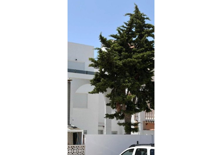 Wiederverkauf - town house - Torrevieja - Calas Blanca