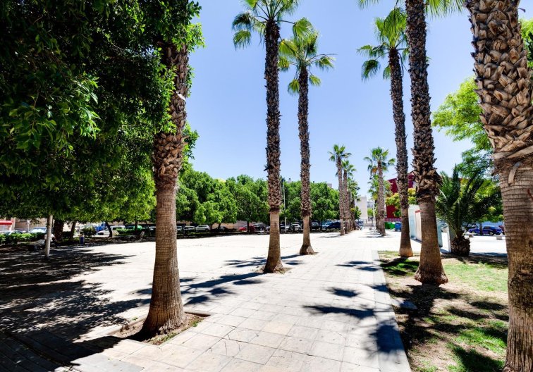 Resale - Apartment - Torrevieja - Centro