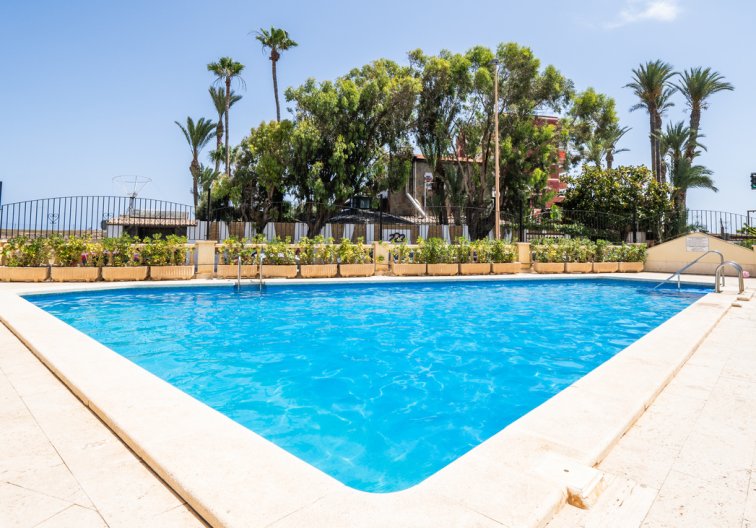 Segunda mano - Apartamento  - Torrevieja - Aguas Nuevas